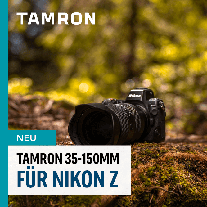 Das erste Zoom-Objektiv mit einer Blende von F2 für Nikon Z-Kameras.